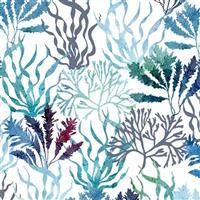 Fanciful Sea Life- Twirling Seaweed- White